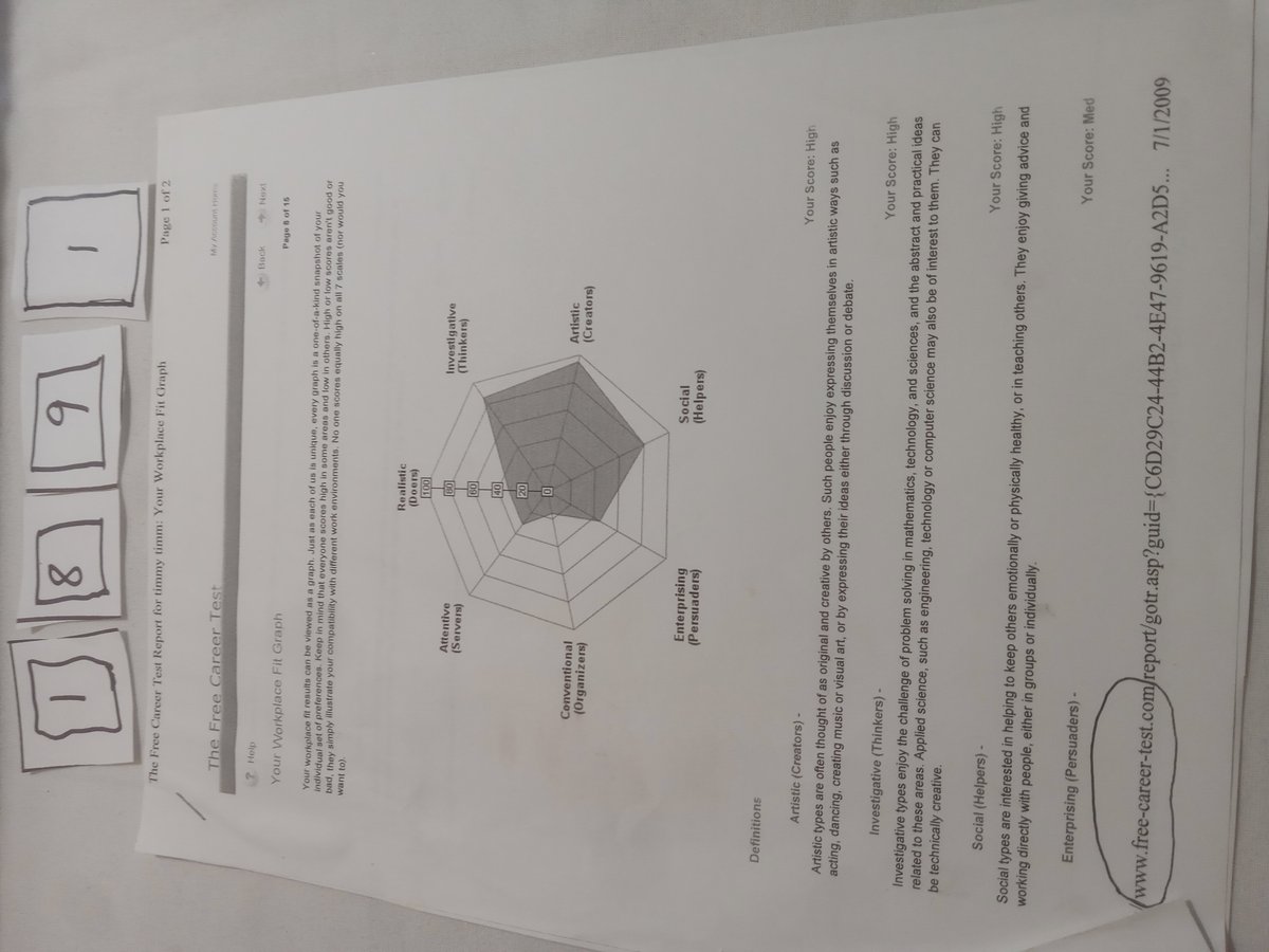 Item 1891 — The Free Career Test Report for timmy timm: Your Workplace Fit Graph, picture 1 of 3